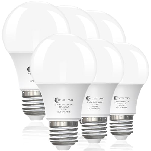 6 Pack A19 LED Light Bulbs (6 Count)