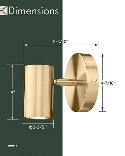 1 Light Wall Sconce