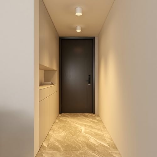 Ceiling Light Fixture