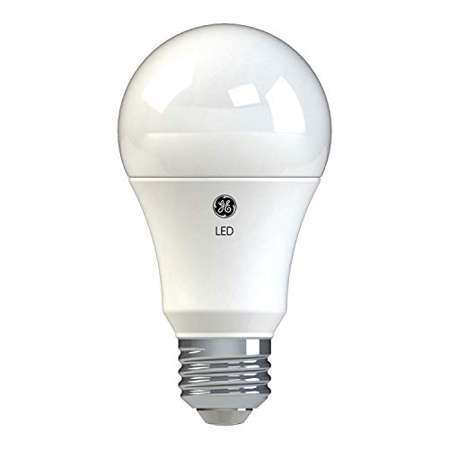 Basic LED Light Bulbs (2 Count)