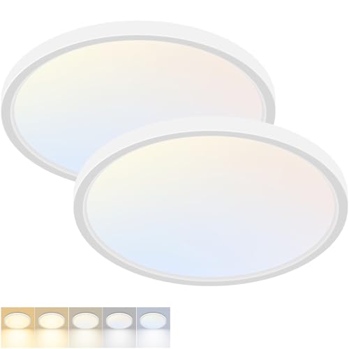 2 Pack LED Flush Mount Ceiling Light Fixture 12Inch 24W 2800LM