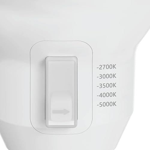 BR30 LED Light Bulbs (6 Count)
