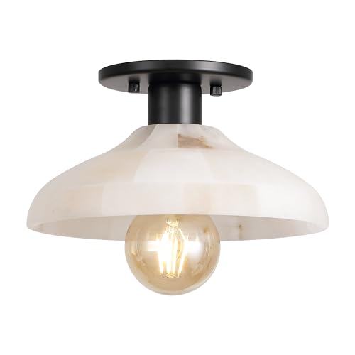Amara 1 Light Semi Flush Mount Metal 10"