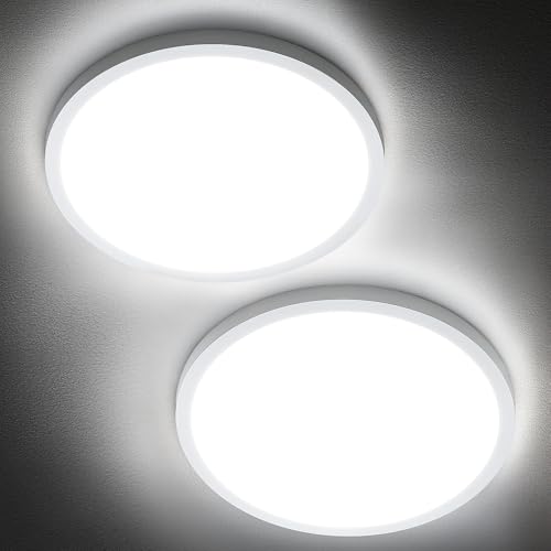 2 Pack 12" LED Flush Mount Ceiling Light 6000K (2 Count)