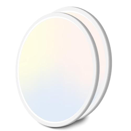 2Pack 16.5 Inch LED Ceiling Light Flush Mount (2 Count)