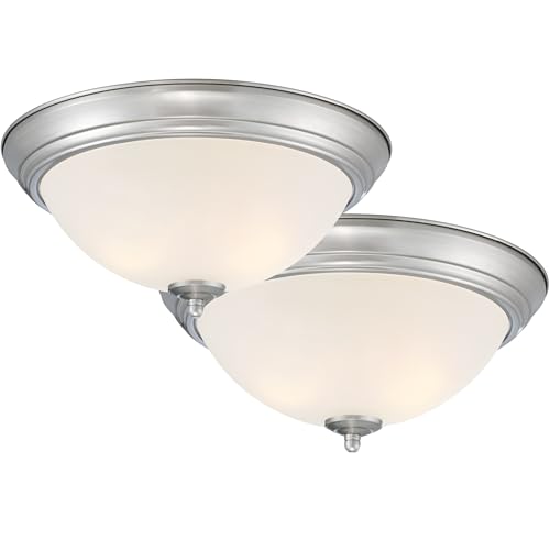 Flush Mount Ceiling Light (2 Count)