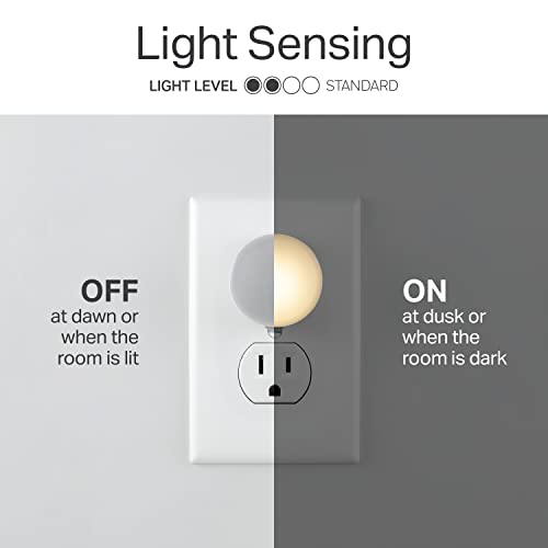 Plug in Night Light with Dusk to Dawn Sensor (10 Count)