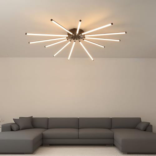 Modern LED Ceiling Light