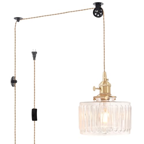 Plug in Pendant Light Hanging Light Fixture Corded On
