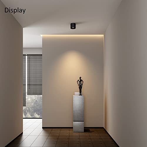 Ceiling Light Fixture (2 Count)