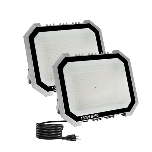 2 Pack LED Flood Lights Outdoor (2 Count)