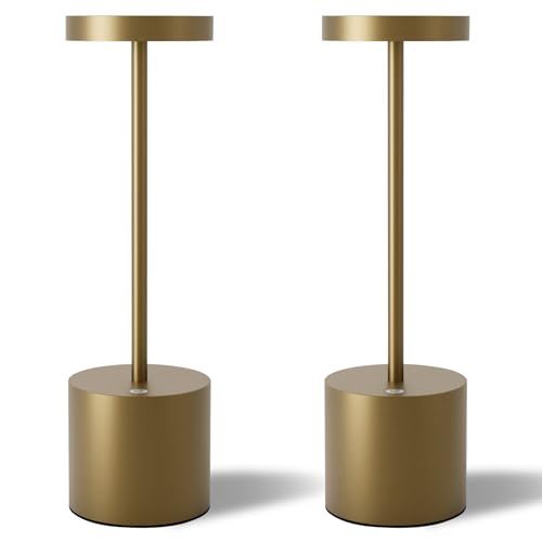 LED Cordless Table Lamps Set of 2