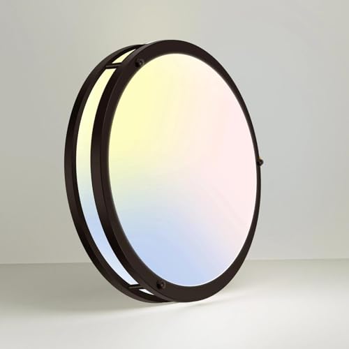 10 Inch Flush Mount Ceiling Lights