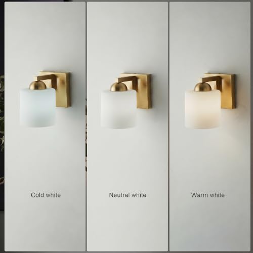 1 Light Brushed Gold Bathroom Vanity Light with White Glass Shade