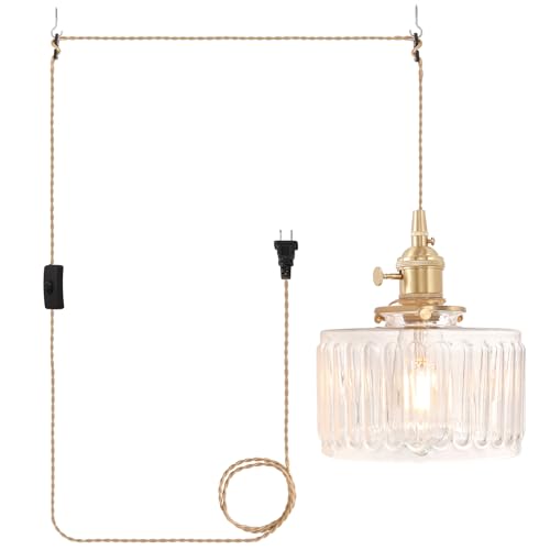 Plug in Pendant Light Hanging Light Fixtures with Plugin Cord On