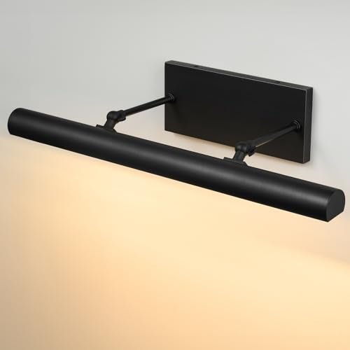 Black Art Picture Frame Wall Light