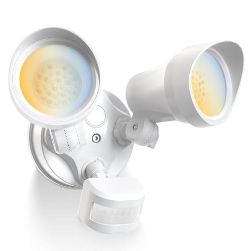 Motion Sensor Outdoor Lights