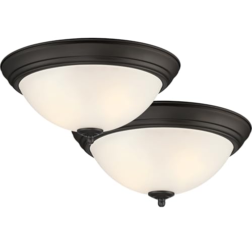 Flush Mount Ceiling Light (2 Count)