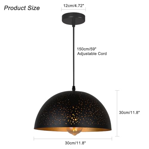 Hanging Ceiling Light Fixture 11.8" Black Pendant Light Stairwell