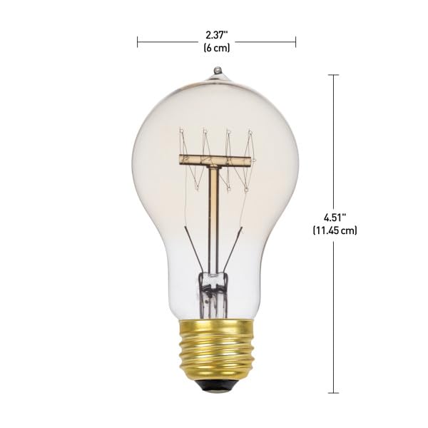 34841 60W Edison Quad Loop Incandescent Filament Light Bulb 12 (12 Count)