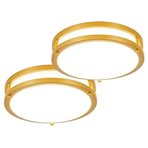 DLLT Flush Mount LED Ceiling Light