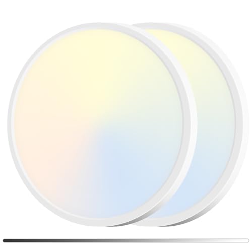 2Pack 15" LED Flush Mount Ceiling Light (2 Count)