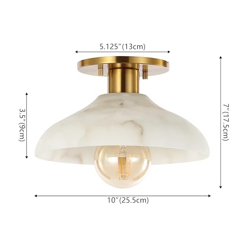 Amara 1 Light Semi Flush Mount Metal 10"
