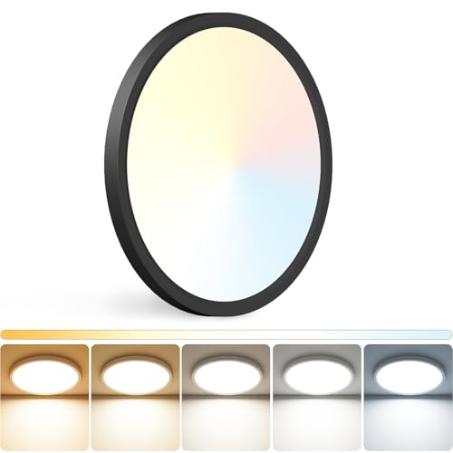 12 inch LED Ceiling Light
