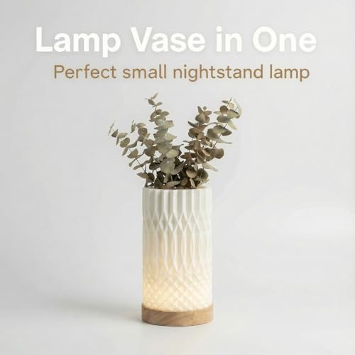 Small Bedside Lamp for Nightstand