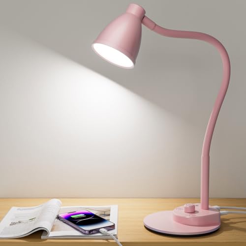 Cute Desk Lamp with USB Charging Port