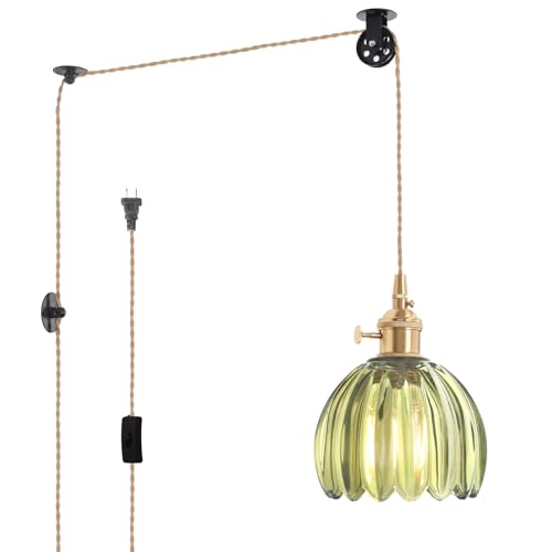Plug in Pendant Light Hanging Light Fixture Corded On