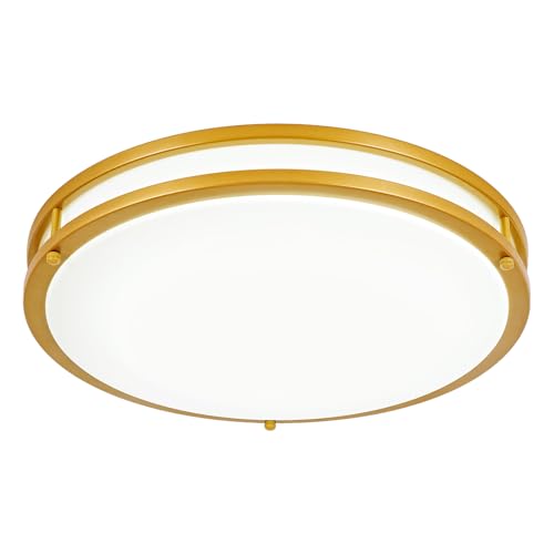DLLT Flush Mount LED Ceiling Light
