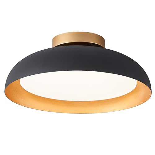 Flush Mount Ceiling Light