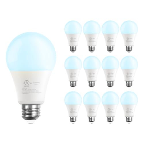 A19 LED Light Bulbs (12 Count)