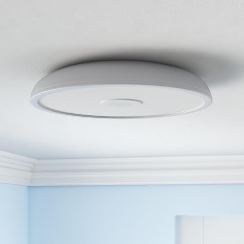 Smart Waterproof LED Flush Mount Ceiling Light Fixture