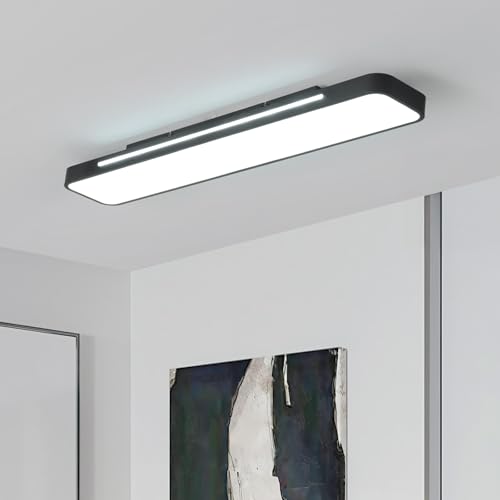 Modern LED Ceiling Light