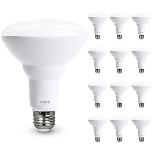 BR30 LED Light Bulbs (12 Count)