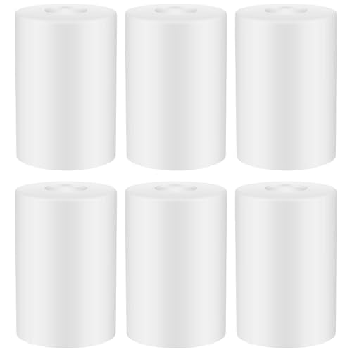 6 Pack Frosted White Glass Lamp Shade 1 (6 Count)