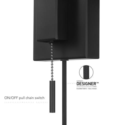 1 Light Matte Black Swing Arm Plug