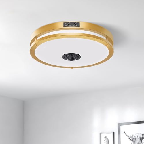 2 Pack 12" LED Motion Sensor Outdoor Ceiling Light (2 Count)