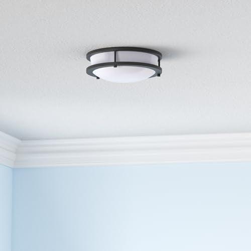 10 inch Flush Mount LED Ceiling Light Fixture