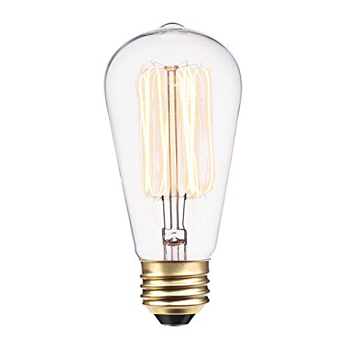 01321 60W Vintage Edison S60 Squirrel Cage Light Bulb