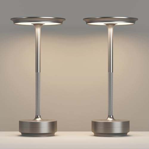 2 Pack Cordless Table Lamps Rechargeable (2 Count)