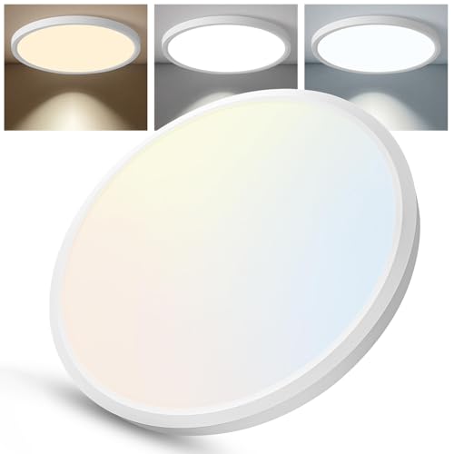 12 Inch Slim Dimmable LED Flush Mount Ceiling Light Fixtures