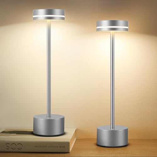2 Pack LED Cordless Table Lamp Rechargeable (2 Count)
