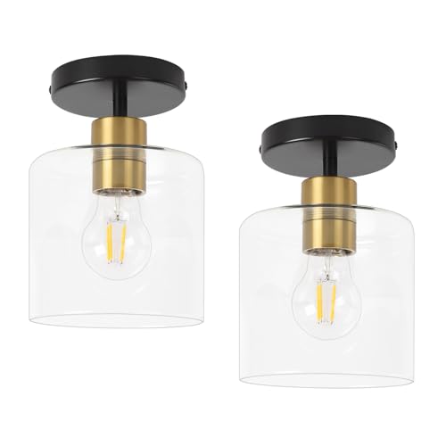 Black Brass Semi Flush Mount Ceiling Light (2 Count)