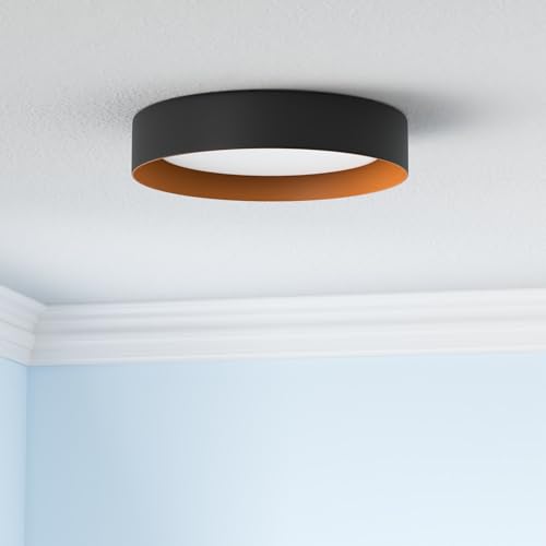 16.5 Inch Flush Mount Ceiling Light