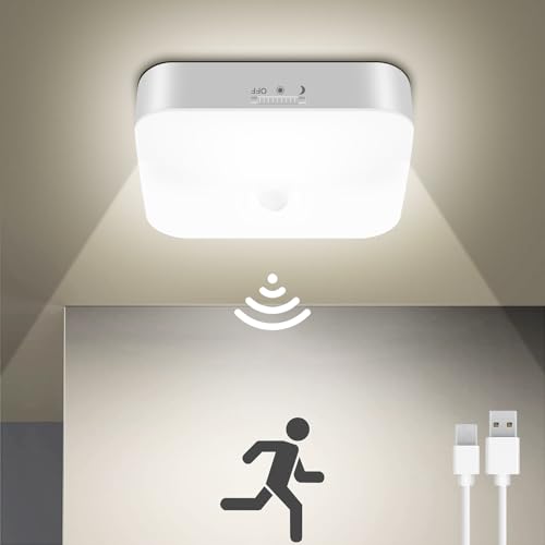 Rechargeable Motion Sensor Closet Light