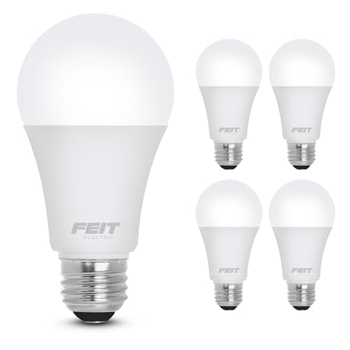 A19 LED Light Bulbs (4 Count)