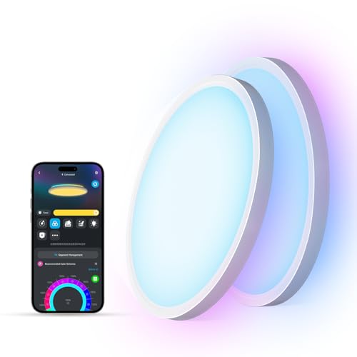 Smart Ceiling Light